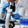 Microbiologist,Examining,Biological,Samples,With,A,Microscope,And,An,Inoculation
